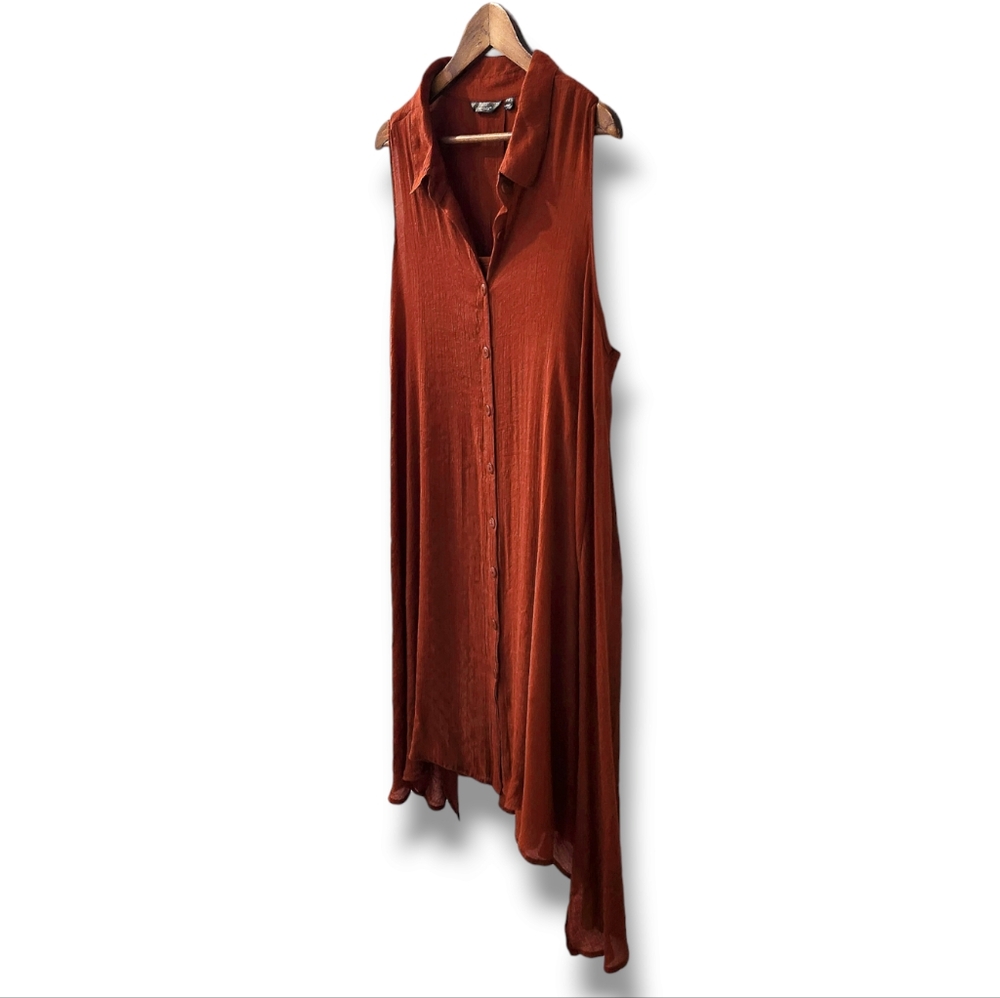 Mlle Gabrielle Burnt Orange Swing Button-Down Shirt Dress | 3X - Picture 9 of 9